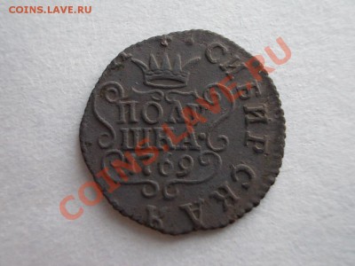 СИБИРСКАЯ ПОЛУШКА 1769 КМ. - DSCN1124.JPG