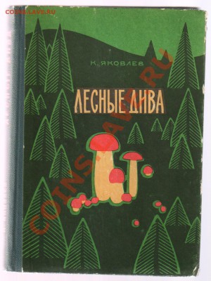 Книга ЛЕСНЫЕ ДИВА до 08.06.2012г 21-00 - 1 книга ЛЕСНЫЕ ДИВА