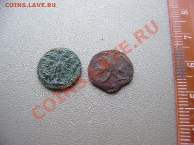 ВРП полушки Петра I, 1720 - полушка.JPG