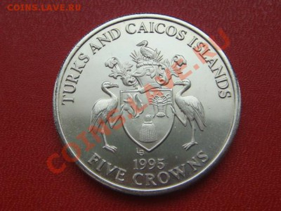 -v-Шайба Теркс и Кайкос 5 крон 1995 (8 мая)  до 7.06(22.00) - DSC06935.JPG