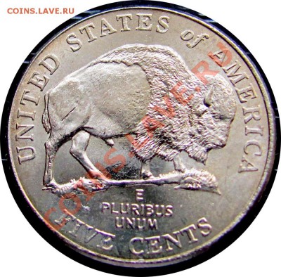 K83 США 5¢ Buffalo Nickel 2005P до 10.06 в 22°° - K83 5c 2005p_1
