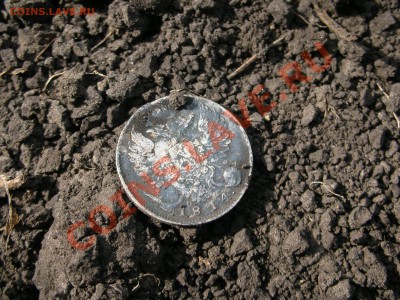 отпуск 2010,покапушки - DSCN6117.JPG
