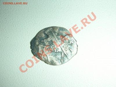 чешуйка на опознание - DSCN6274.JPG