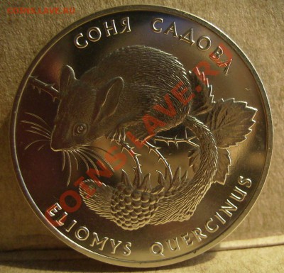 2гривны 1999г.Соня Садова До 05.06.2012г Короткий - 5..JPG