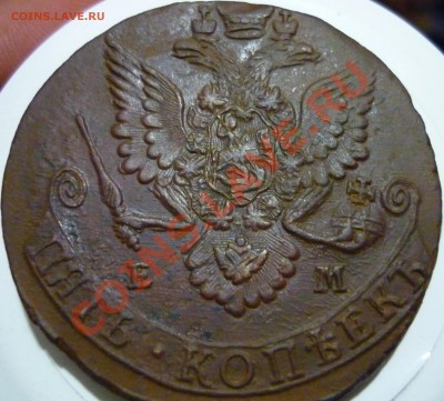 5 копеек 1783 ем ОТЛИЧНАЯ !!!  до 31.05.2012 - P1080275.JPG