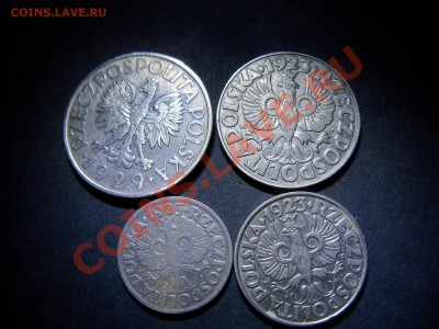 Польша 10, 20, 50 гр 1923г и 1 зл 29г до 12.06 12-00-00 МСК - 100_1409.JPG