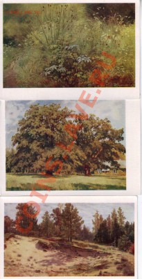 VIII 1958 г. - IMAGE0093.JPG