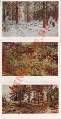 VIII 1958 г. - IMAGE0099.JPG