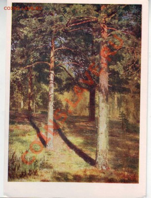 VIII 1958 г. - IMAGE0106.JPG