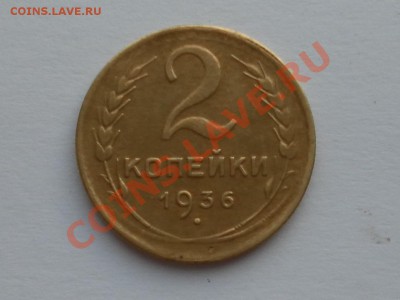 Помощь в определении и оценке - SAM_2094.JPG
