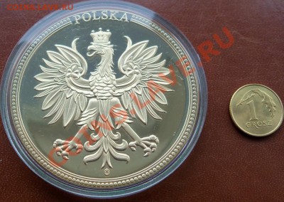 Банкнота 50 злотых 2 - 100_0996.JPG