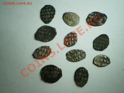 Пршу опознать Сибирскую чешую))) - P4242131.JPG