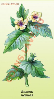 Одиночество - 6