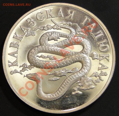 1 рубль 1999 Кавказская гадюка - DSC00358.JPG
