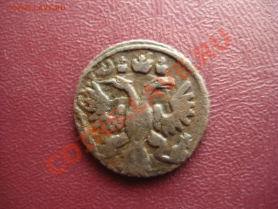 Полушка 1735 Холостое соударение или двойной удар (?) Оценка - IMG_3162.JPG