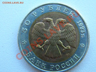 50р. Туркменский зублефар "Красная книга" 1993 - P6090017.JPG