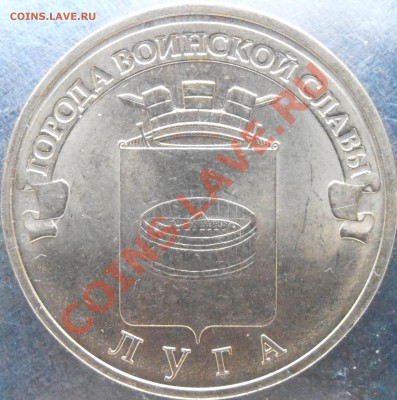 Новинка!!!Луга еще 2 новые разновидности!!! Всего 4!! - P6090013.JPG