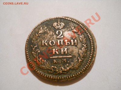 вот она - DSCN0262.JPG