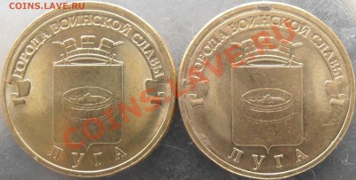 Новинка!!!Луга еще 2 новые разновидности!!! Всего 4!! - P6110003.JPG