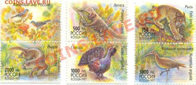 Обменник NeoNovyj - сканирование0008