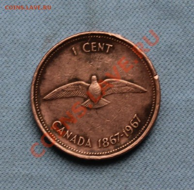 КАНАДА 1с 1967г.ЮБИЛЕЙНЫЙ голубь  до 17.06.12г. в 22-00 - IMG_0568.JPG