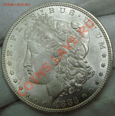 доллар (морган) 1883 США - Копия DSC07245.JPG
