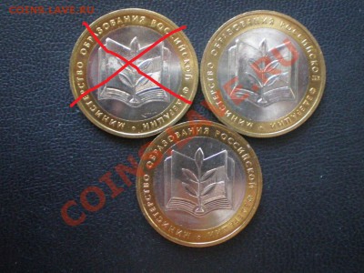Мешковые министерства Оценка - P6100070.JPG