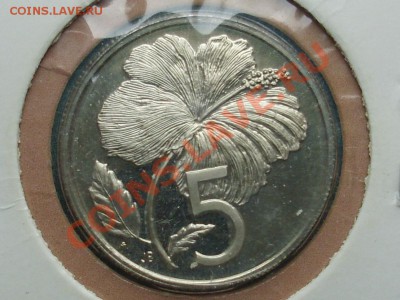 о-ва Кука 5 центов 1977 цветок PROOF до 16.06.12 в 21:00 Мск - SL373658.JPG