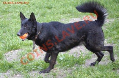 ФОТО - просто фото. Те что получились удачными. - 2012-06-12 Флешка 5
