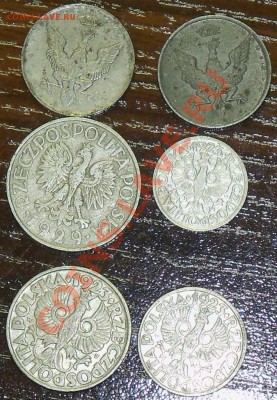 Польша набор 6 монет 1918-1929гг до 19.06 13-00 МСК - 100_1517.JPG