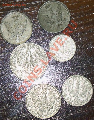 Польша набор 6 монет 1918-1929гг до 19.06 13-00 МСК - 100_1518.JPG