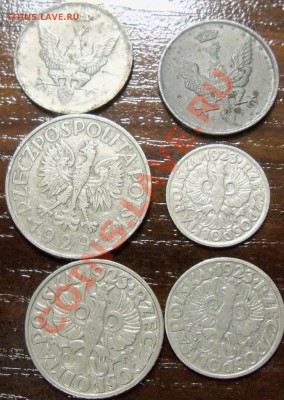 Польша набор 6 монет 1918-1929гг до 19.06 13-00 МСК - 100_1524.JPG
