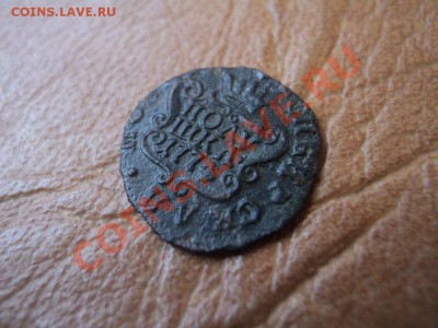 полушка 1774 сибирь до 15.06.12 в 22:00 по мск. вр. - DSC03575.JPG