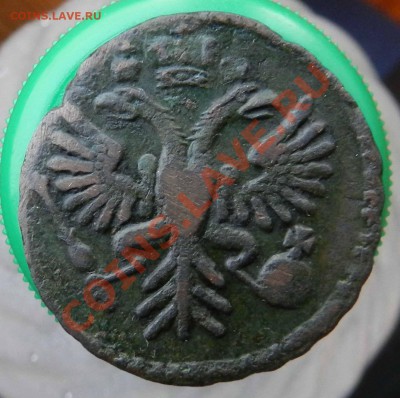 Денга  1731   ( 1 черта ,  не чищенна)  до 17.06.2012 - DSCN2843.JPG