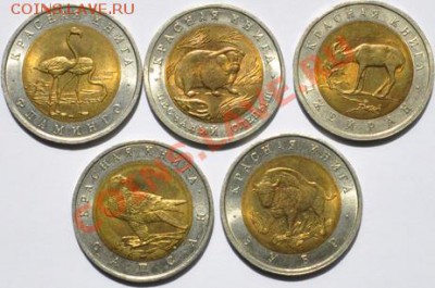 Красная Книга, комплект 1994 г. до 19.06.2012 22-00 Мск - DSC_95901
