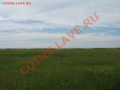 Кузбасский коп - IMG_3833