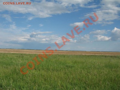 Кузбасский коп - IMG_3802