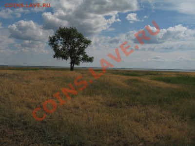 Кузбасский коп - IMG_3837