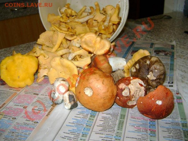 Любители "тихой охоты" есть? Все сюда :) - DSC01651.JPG
