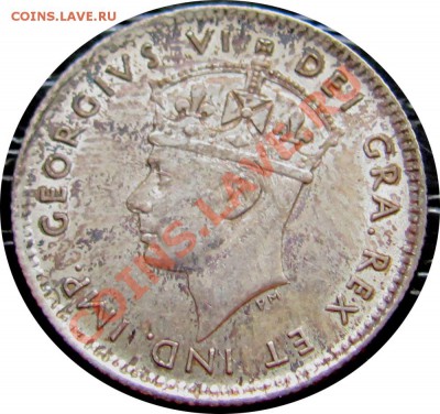 P44 Ag Ньюфаундленд 5¢ 1941c XF до 21.06 в 22°° - P44 NFLD 5c 1941c_1