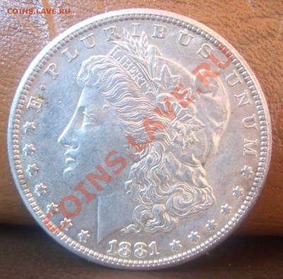 Доллар 1881S - CIMG7167.JPG