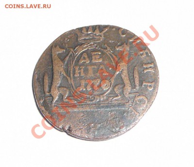 Денга 1770 км (Сибирь). Оценка. - P1120751.JPG