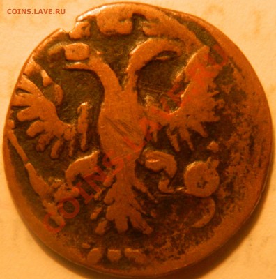 Поаушка 1736, двойной удар - DSCN0499.JPG