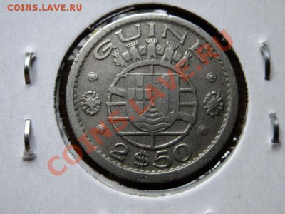 Гвинея Порт. 2,5 эскудо 1952 до 21.06.12 в 20.00 М - IMG_0541