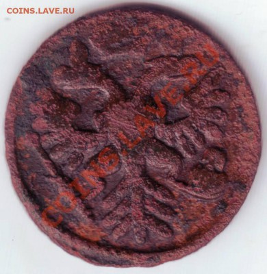 Деньга 1737 г. широкий хвост, уменьшенная корона - IMAGE0011.JPG