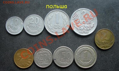 **обменник кот кота (инострань)** - польша.JPG
