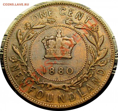I33 Ньюфаундленд 1 цент 1880 до 25.06 в 22°° - I33 1c NFLD 1880_2