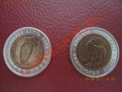 Рыбный Филин и Винторогий Козел - IMG_0526.JPG