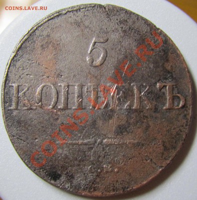 5 копеек 1831 СМ(уставшая) до 24.06.12 в 22.00 мск - 5kop1831