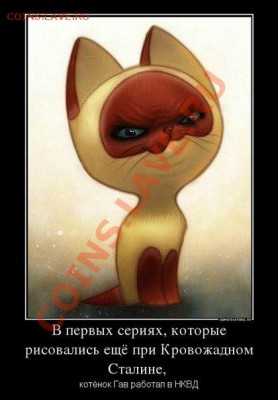 Преступления США против человечности - 641bnOkc93Y